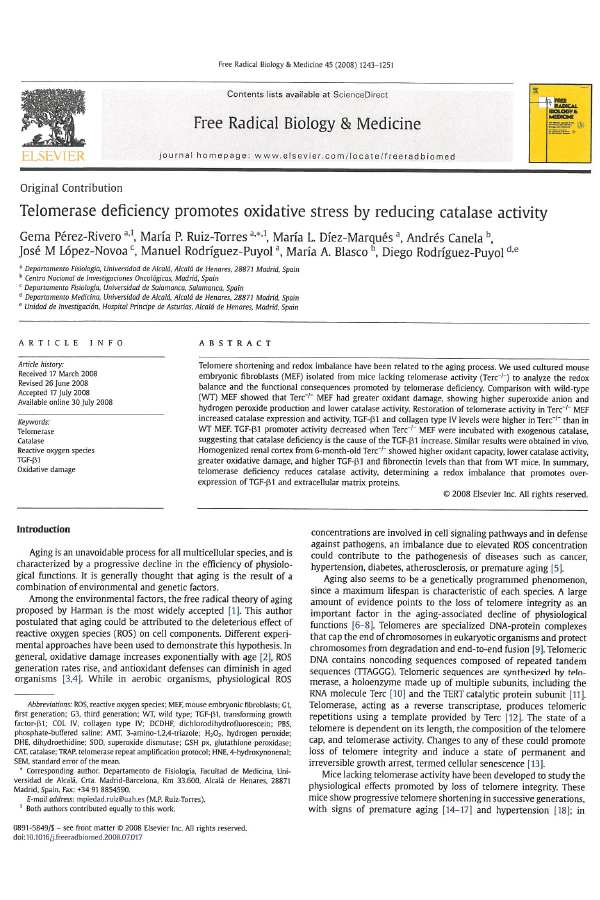 Telomerase Study